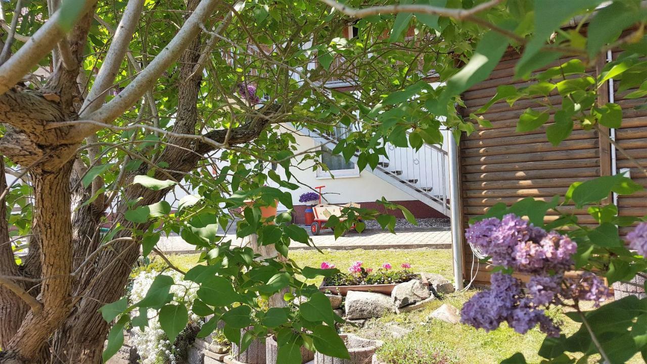 Urlaub Beim Schmied Apartamento Ostseebad Kühlungsborn Exterior foto